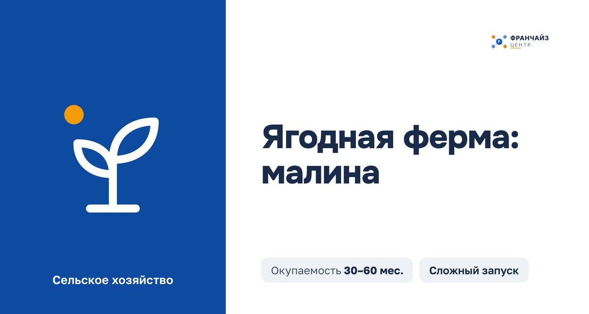 Ягодная ферма: малина