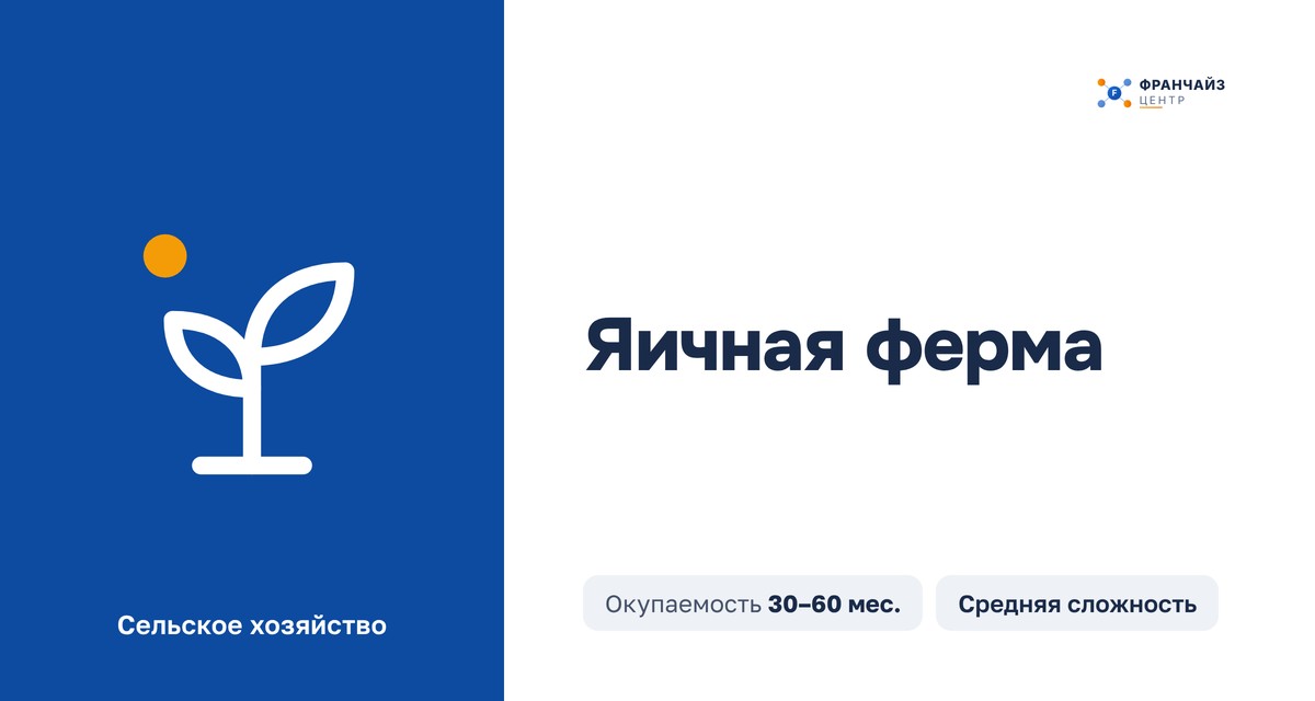 Яичная ферма