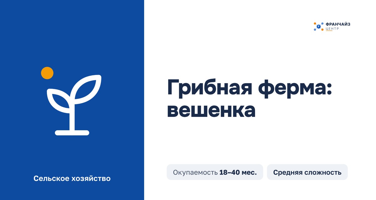 Грибная ферма: вешенка