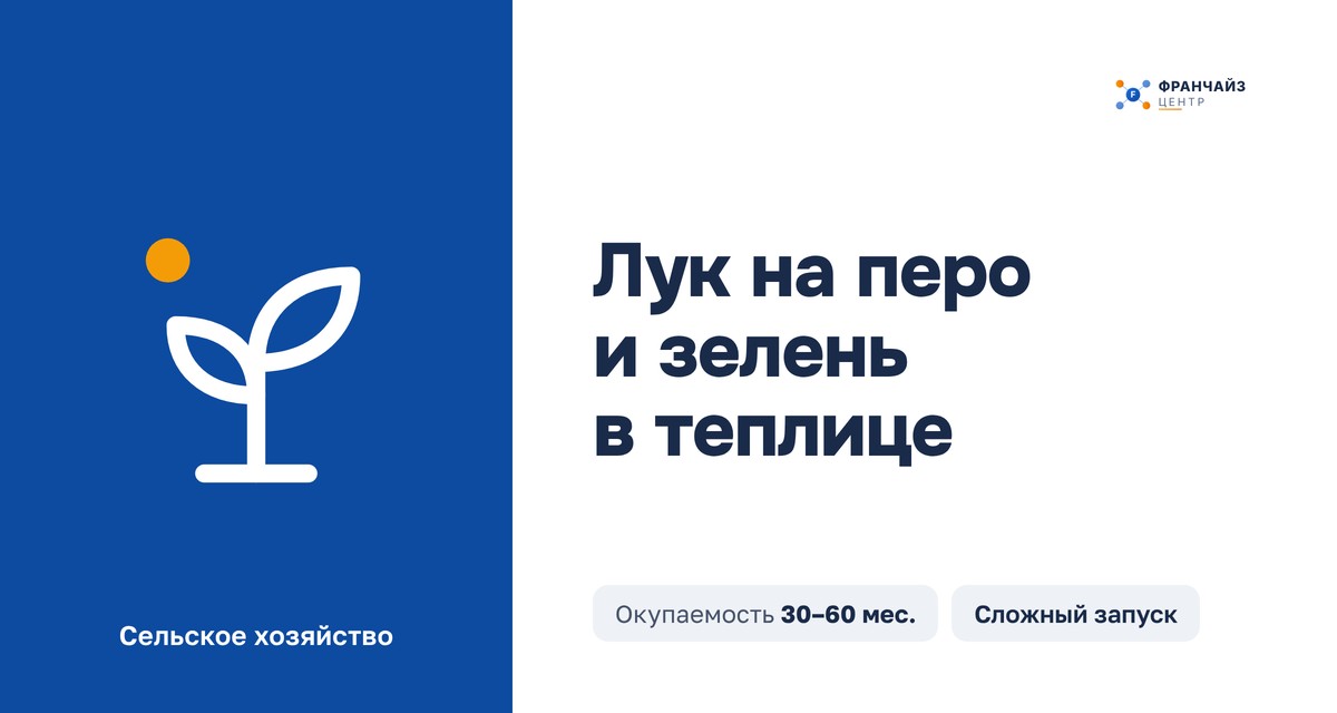 Лук на перо и зелень в теплице