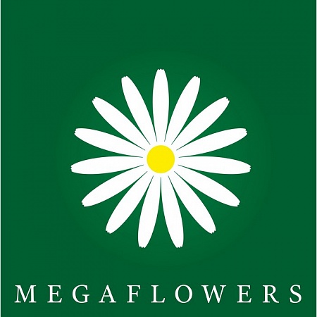 Франшиза &quot;Megaflowers&quot; - цветочный магазин
